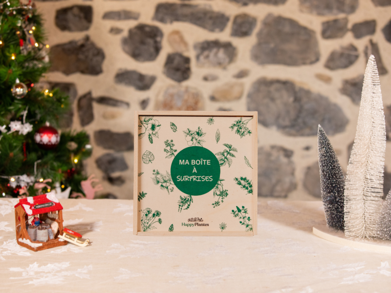 Calendrier de l'Avent Tisanes et Gourmandises 2025