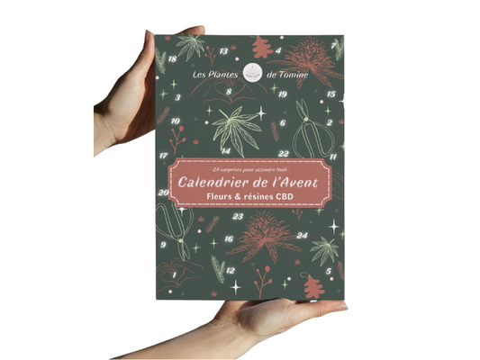 Calendrier de l'Avent CBD