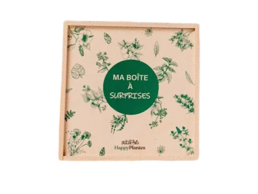 Calendrier de l'Avent Tisanes et Gourmandises 2025