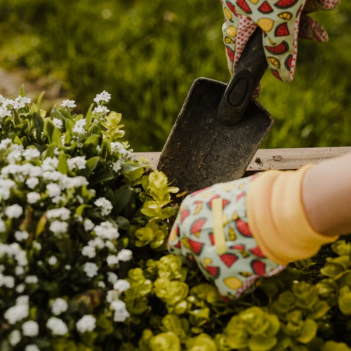Calendrier de l'Avent Jardinage
